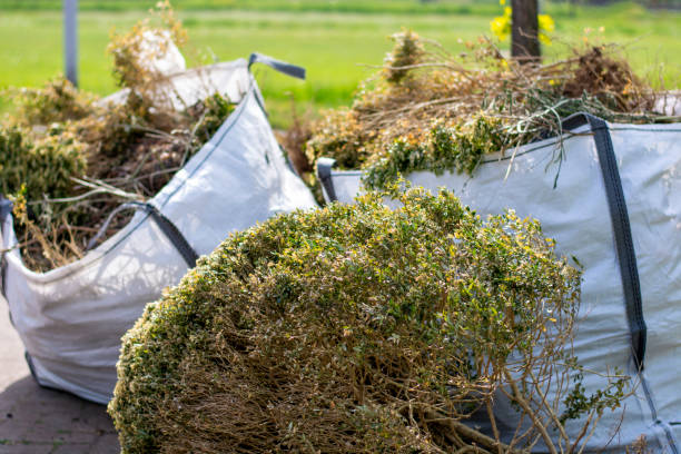 Best Dumpster Rental Services  in Newport East, RI
